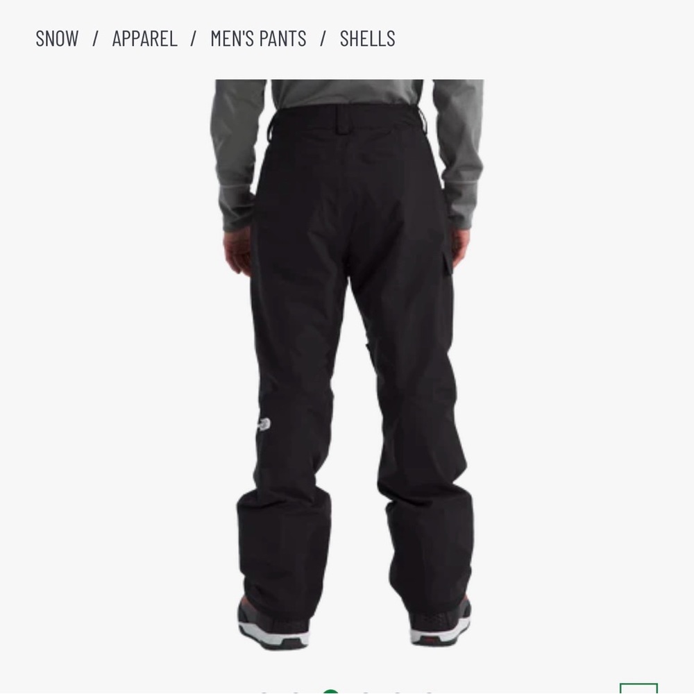 The North Face Men's Seymore Snow Ski Pant - Picture 5 of 11